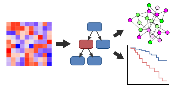 Unsupervised analysis